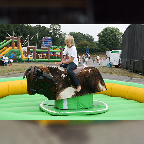 Rodeo Bulle