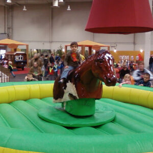Rodeo Pferd