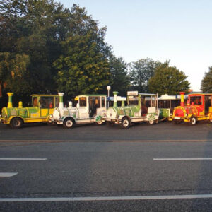 Weihnachtsexpress für 56 Passagiere