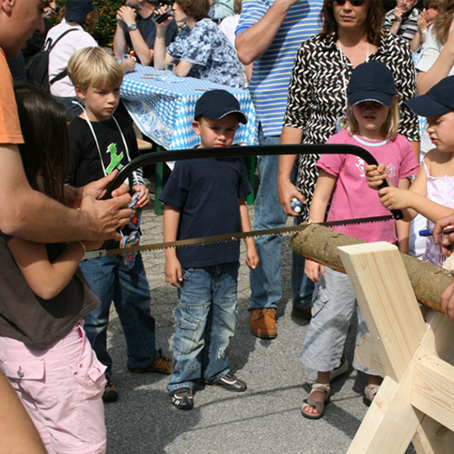 Baumstammsägen