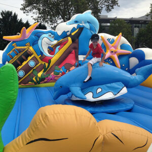 Rodeo Delphin Mieten BPE Events