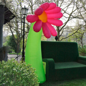 Airflower groß pink-gelb