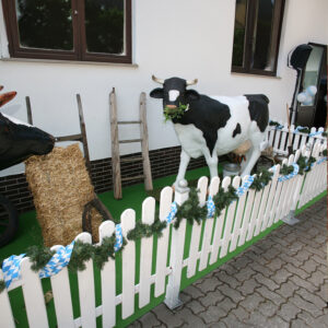 Dekopaket Oktoberfest