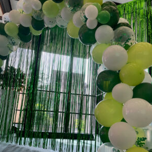 Selfie-Area-Ballon